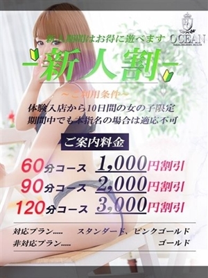 すみれ【スタンダード】