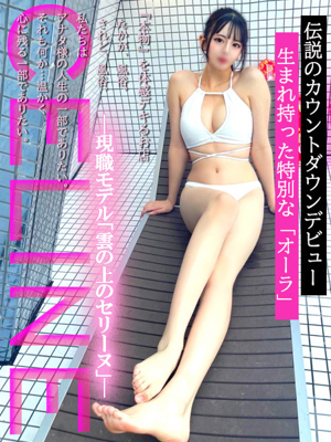 現職モデル「雲の上のセリーヌ」